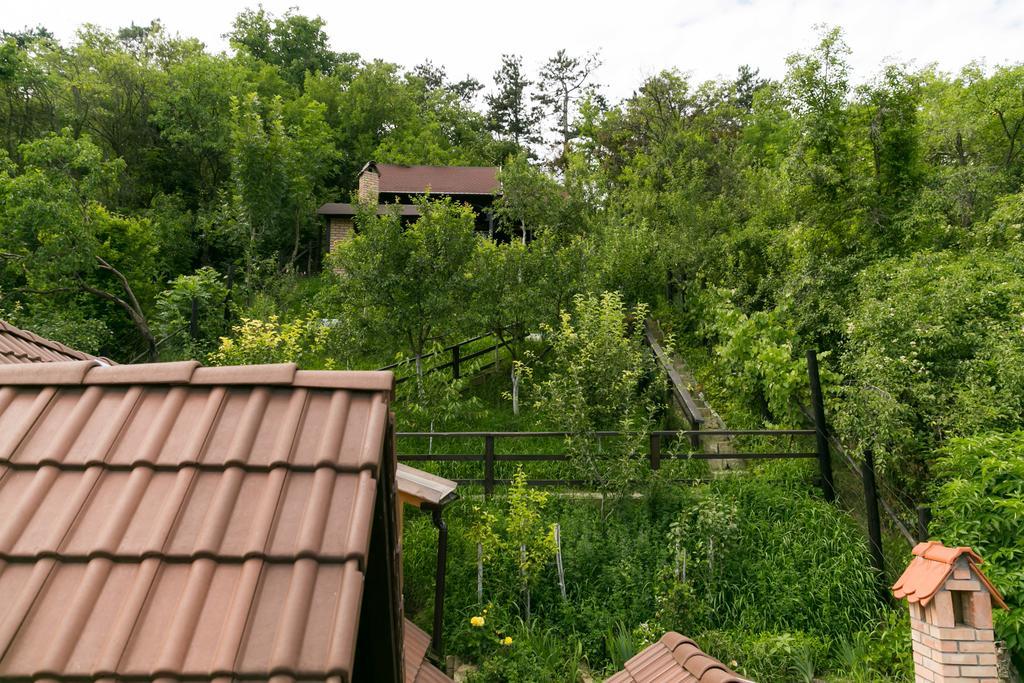 Casa Cu Cerdac Hotell Sighişoara Exteriör bild