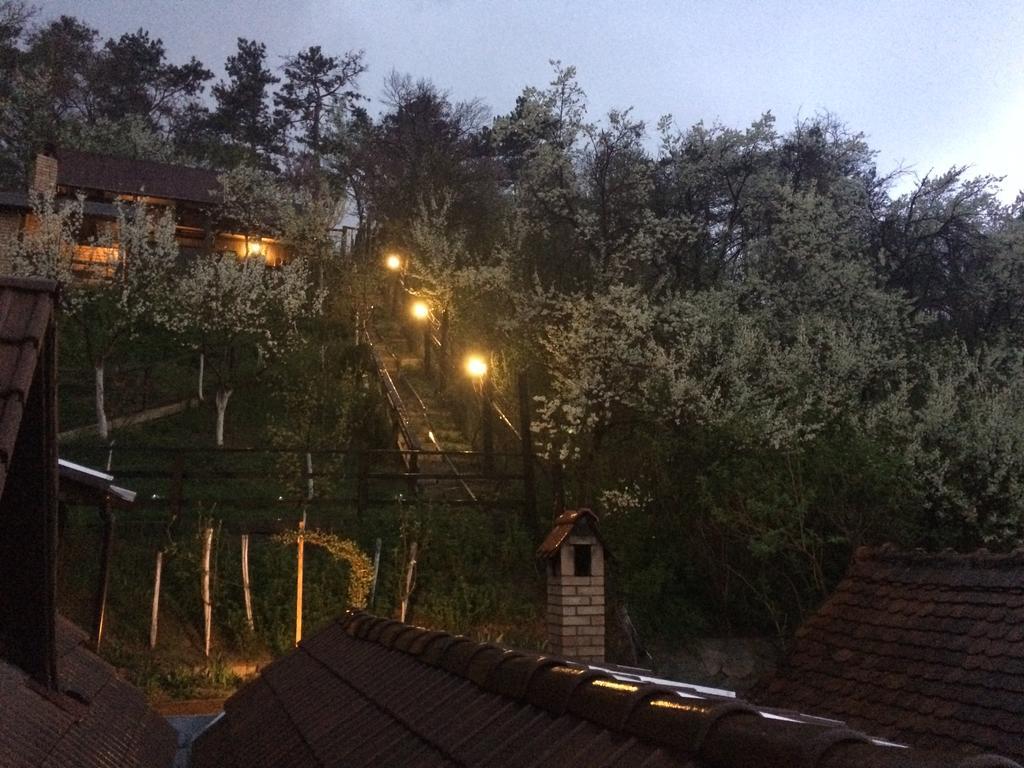 Casa Cu Cerdac Hotell Sighişoara Exteriör bild